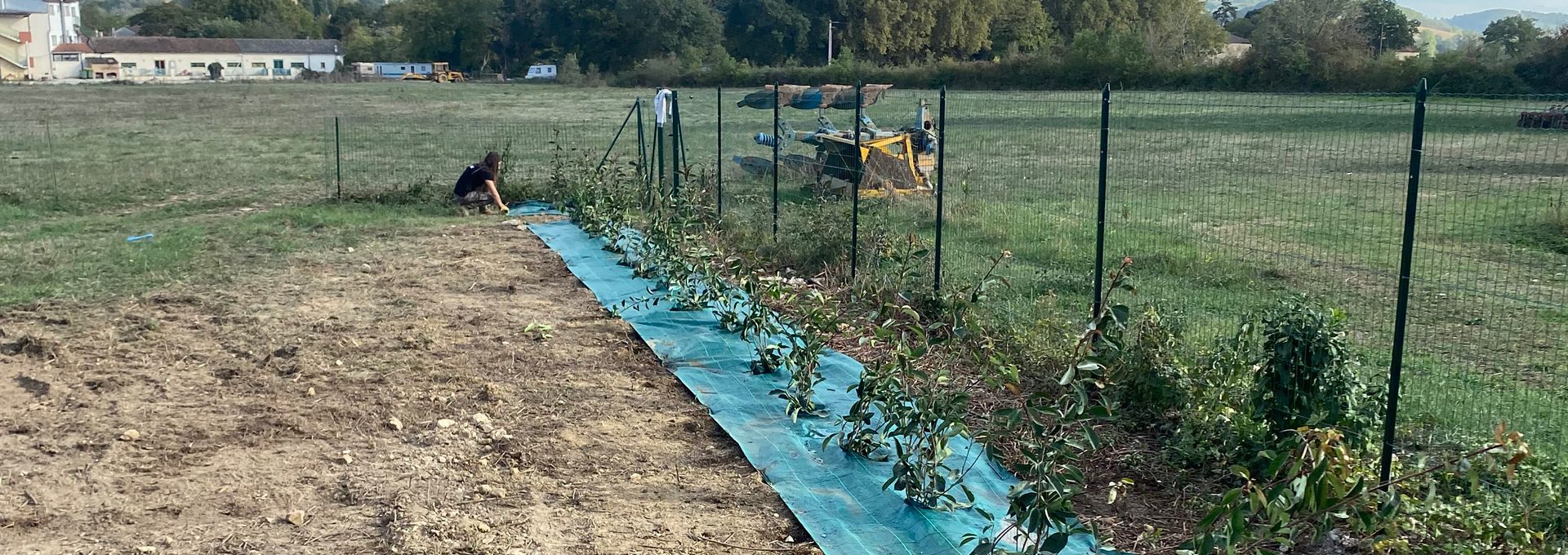 Remise en état de jardin Auch dans le Gers